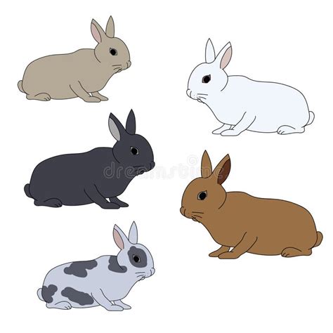 Black White Spotted Bunny Stock Illustrations 45 Black White Spotted