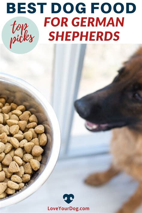 After all, you want your dog to live a long, healthy, active life. Best Dog Foods For German Shepherds: Puppies, Adults ...