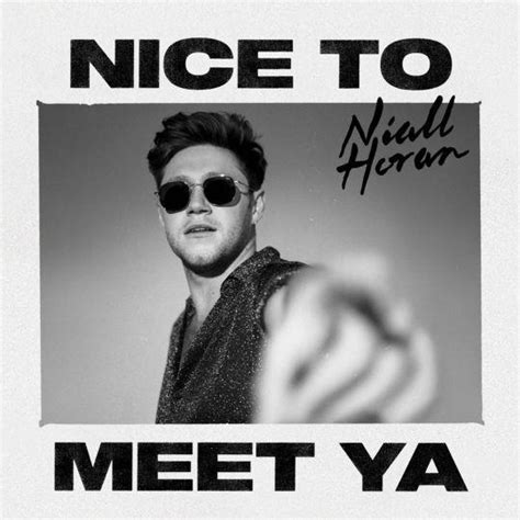 niall horan too much to ask top 40