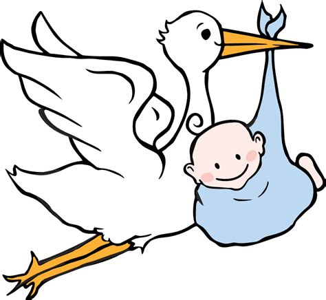 Stork Birth Png All Png All