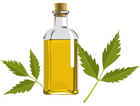 This magical oil also has antibacterial and 6. 42 Amazing Benefits Of Neem Oil for Skin And Hair