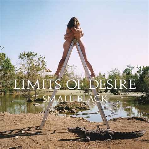 Limits of Desire | Small Black
