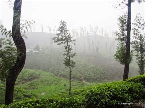 Valparai A Less Known Hill Station In Tamil Nadu Passing Ports