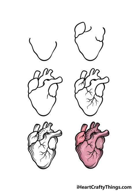 How To Draw A Realistic Heart A Step By Step Guide Easy Heart Drawings Heart Drawing Human