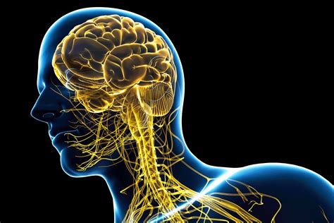Central Nervous System Tumors A Challenge For Navigators And Patients