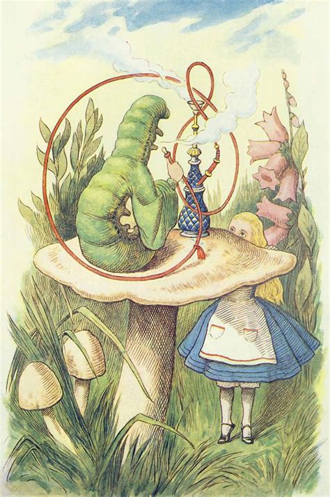 Alice Meets The Caterpillar Illustration From Alice In Wonderland By