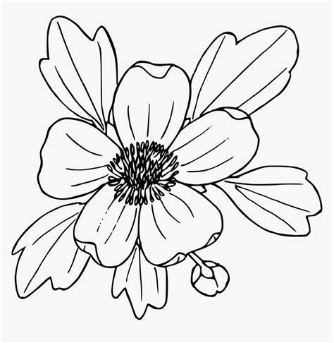 Free Free 335 Flower Line Art Svg Free SVG PNG EPS DXF File