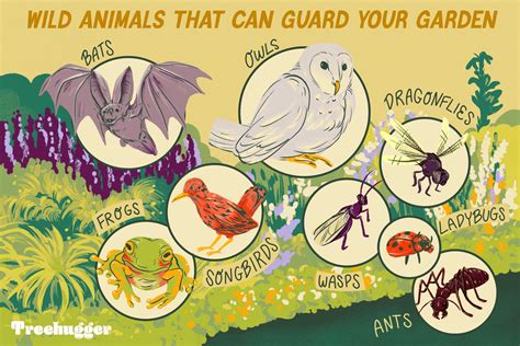 These Wild Animals Can Help Guard Your Garden