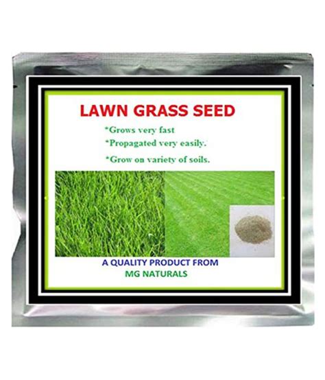 Bermuda Lawn Grass Seeds 1 Gm 500 Seeds Buy Bermuda Lawn Grass Seeds