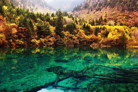 Crystalline Turquoise Lake Jiuzhaigou National Park China Hd Wallpaper