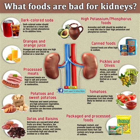 Kidney Failure Diet List
