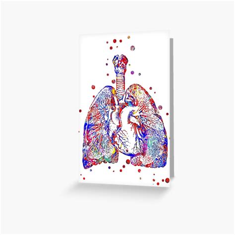 Heart And Lungs Heart Art Anatomy Art Lungs Art Greeting Card For