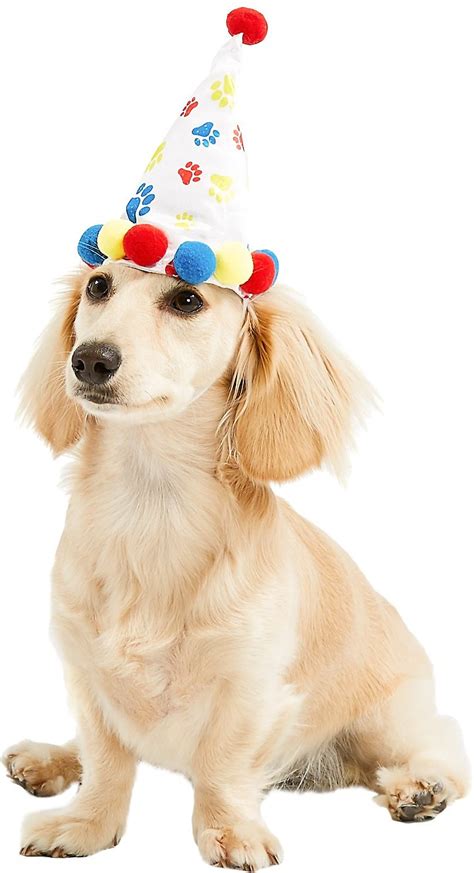 Shopify + print on demand. Rubie's Costume Company Rainbow Paw Print Dog & Cat ...
