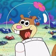 Sandy cheeks is one of the female characters from the nickelodeon series spongebob squarepants. Image result for sandy cheeks | Spongebob funny, Spongebob ...