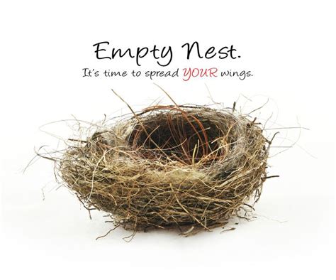 Empty Nest Syndrome Femmepharma Empty Nest Syndrome Empty Nest Nest