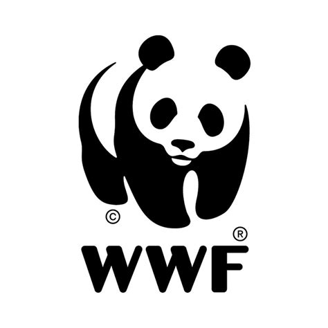 Wwf Changes Iconic Panda Logo As Part Of New Campaign Third Sector