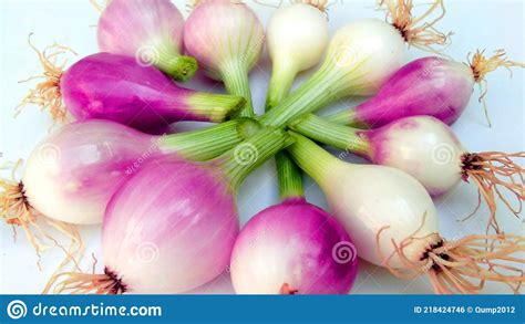 Allium Cepa Fresh Indian Onion Stock Photo Image Of Pickles Savoury