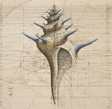 Download Pin by Rachel Norris on charts | Sacred geometric, How to draw hands, Golden ratio