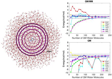 Effect Of The Qm Size Basis Set And Polarization On Qmmm Interaction