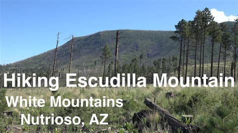 Hiking Escudilla Mountain White Mountains Nutrioso Az Youtube