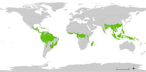Crude estimates based on this map. Tropical Rainforest Regions