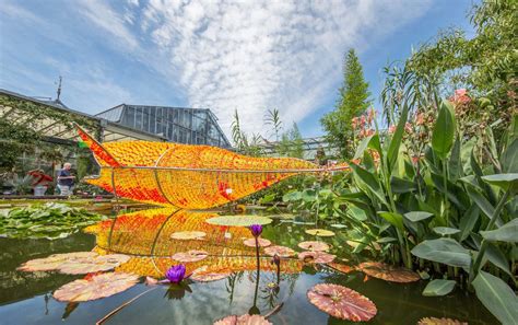 Burgstraße 19 85072 eichstätt 08421 4730. Botanischer Garten Bayern - Botanischer Garten Munchen ...