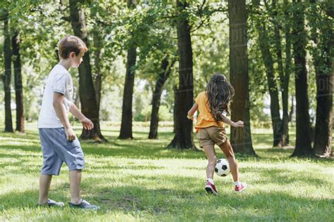 Cute Little Kids Playing With Soccer Ball In Park Stock Photo Dissolve