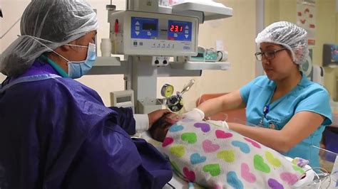 unidad de cuidados intermedios neonatal insn san borja youtube