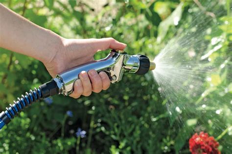 The Proper Way To Water Your Garden Hgtv