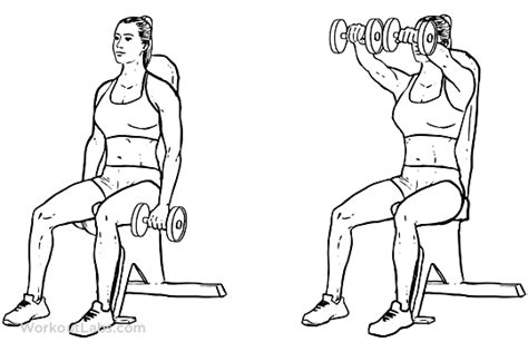 Seated Dual Front Raises Workoutlabs Exercise Guide