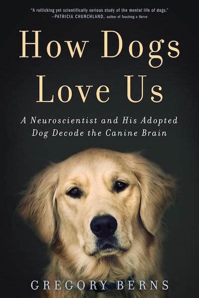 10 Heartwarming Books For Dog Lovers Book Riot