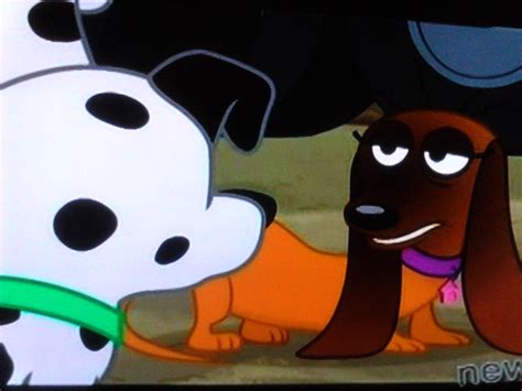 All episodes of the 2010 version of the pound puppies tv show. Random - Pound Puppies (2010) Photo (31221665) - Fanpop