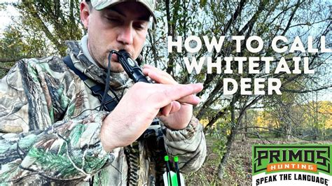 How To Call Whitetail Deer Use A Grunt And Rattle Call For Big