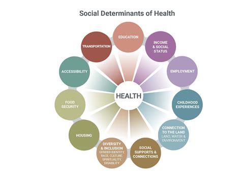 Determinants Of Health — Comox Valley Community Health Network