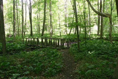 Flowers that bloom in april in michigan. Kalamazoo Seasons: Dowagiac Woods