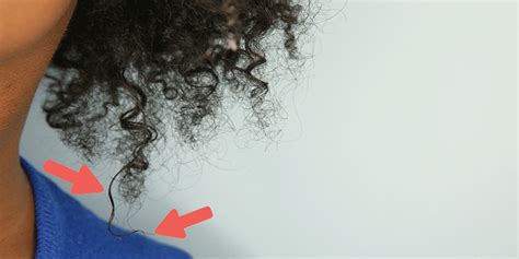 3.1 always apply thermal protection. Heat Damaged Hair: What to Do When Your Curls Are Ruined ...