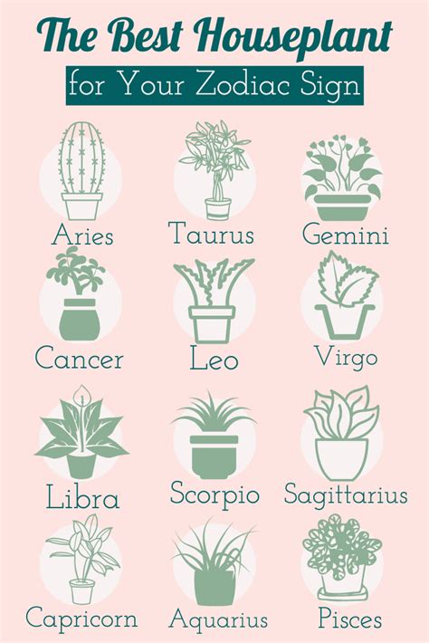 The Best Houseplant For Your Zodiac Sign