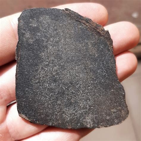 Nwa 11667 Enstatite Chondrite Meteorite Meteolovers