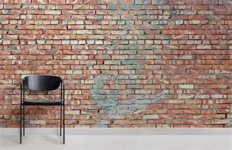 Cement Plastered Red Brick Wall Mural Uk Interior
