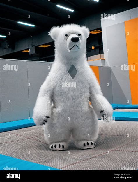 Polar Bear On The Trampoline Stock Photo Alamy
