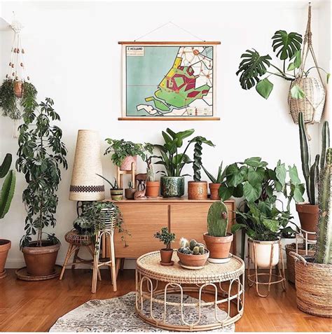 30 Indoor Jungle Plants Decor For The Plant Lover The