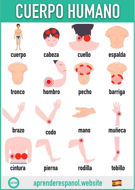 Pin En Vocabulario De Español