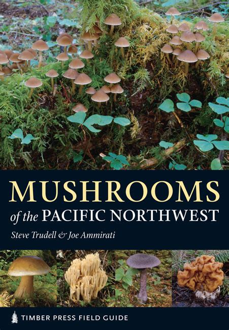Field Guides Mushroom Identification Guides Mushrooms Of The