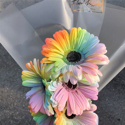 Rainbow Gerbera Daisy Bouquet Floral Passion Sg