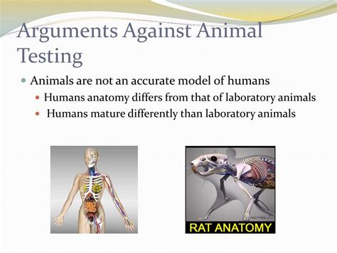 Ppt Animal Testing Good Bad Or Ugly Powerpoint Presentation Free