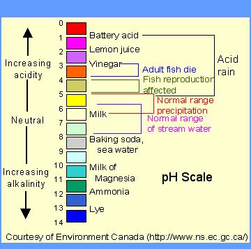The main difference between pka and ph is that pka indicates the dissociation of an acid. Where is battery acid located on a pH scale? - Quora