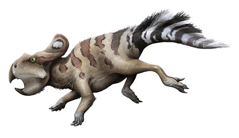 Protoceratops A Frill A Beak And An Attitude Institute For The