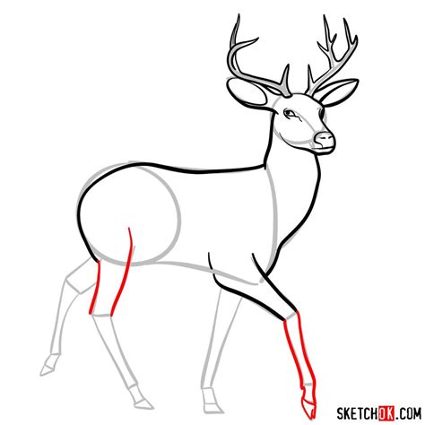 How To Draw A Deer Step By Step For Beginners Vlrengbr