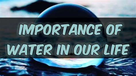 Importance Of Water In Our Life Conservation Of Water