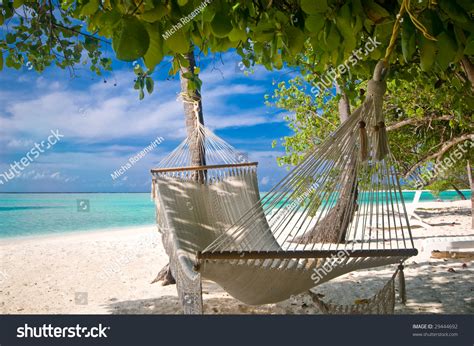 Beach Hammock Under Palm Trees Stock Photo 29444692 Shutterstock